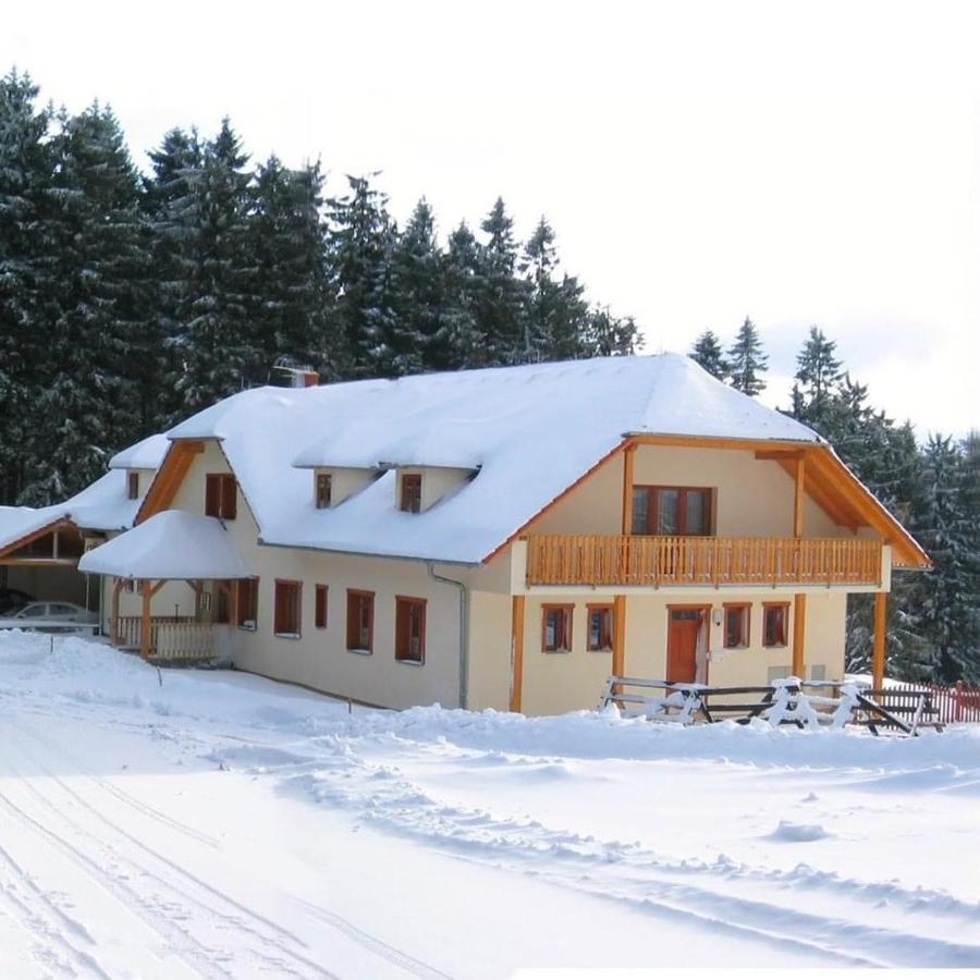 Penzion Patrik Mikulcin Vrch Vapenice Экстерьер фото